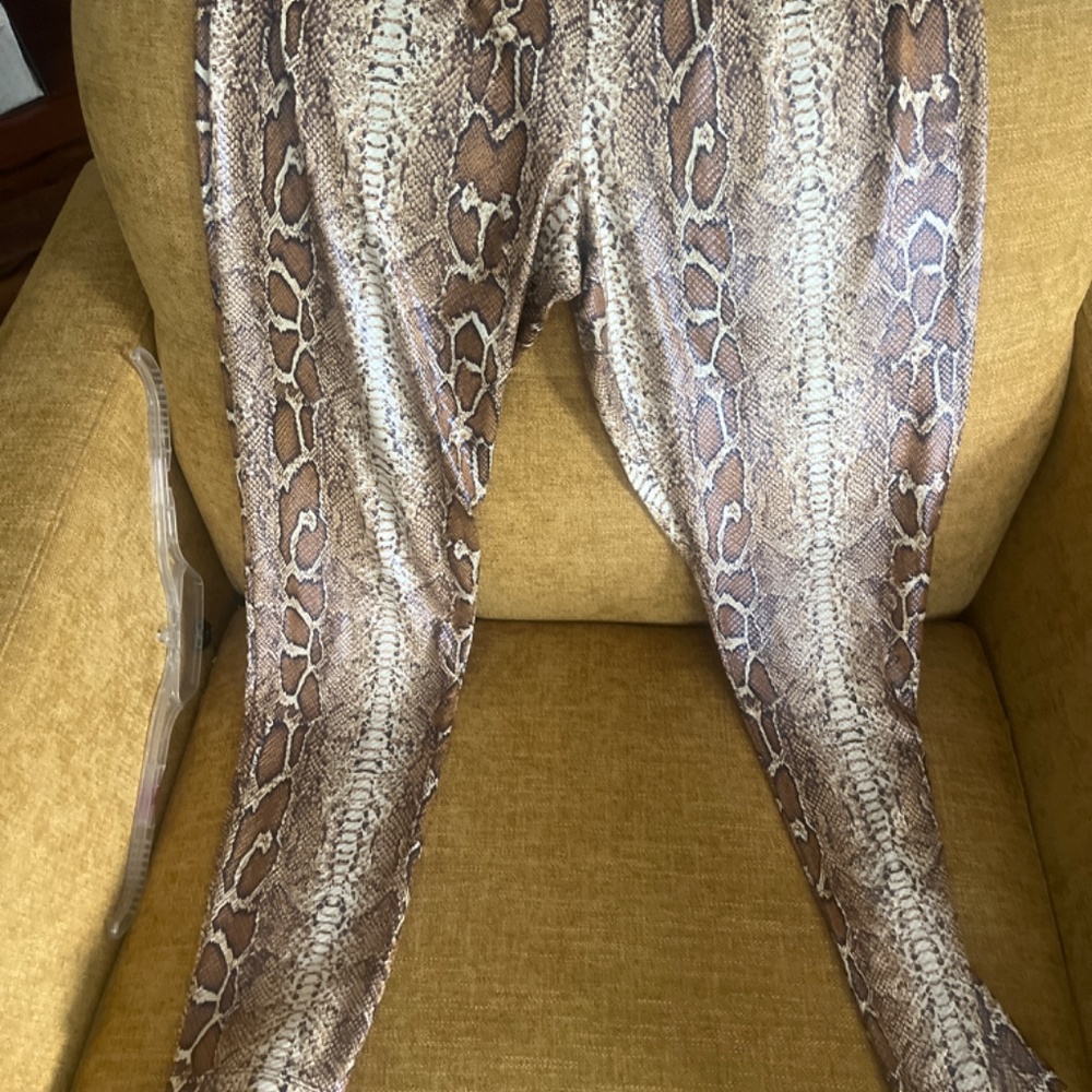 Python spandex - Picture 2 of 2